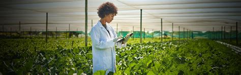 Certificação RAS Polo Sebrae Agro