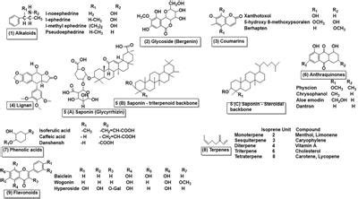 Frontiers Advances And Strategies For Capillary Electrophoresis In