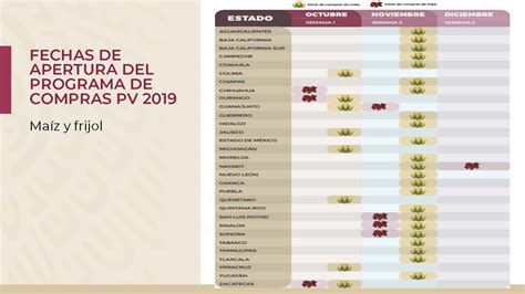 Segalmex Arranca Programa Precios De Garantía Seguridad Alimentaria