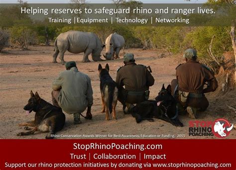 Stop Rhino Poaching | Black Rhino