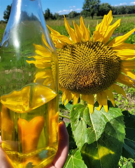 Biologische Producten Vrienden Van Velhorst Lochem