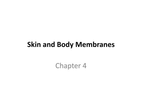 Ppt Skin And Body Membranes Powerpoint Presentation Free Download Id 2361156