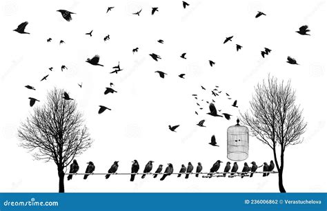 Silhouettes D Oiseaux Volants Et D Arbres Et Cage Ouverte Photo Stock