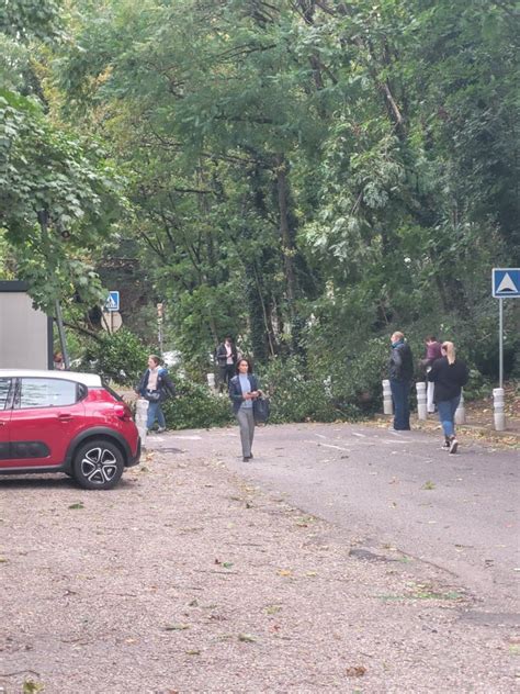 M Tropole De Lyon Un Arbre Est Tomb Sur Le Parking De La Clinique Du