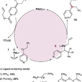 Scheme Substrate Scope Of The Selective Palladium Catalyzed