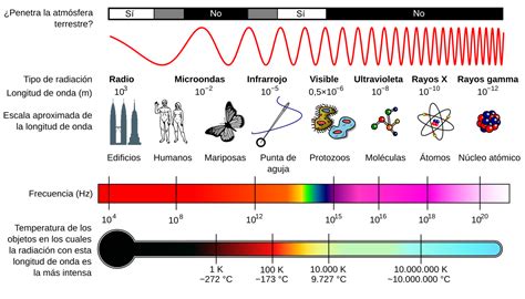 Radiobiología Wikipedia la enciclopedia libre