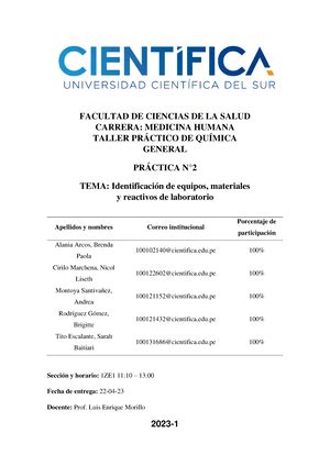 Informe de Lab Quimica copien M a n u a l d e P r á c t i c a d e Q