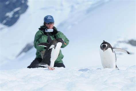 Cu L Es La Mejor Poca Para Viajar A Ushuaia Terramar Turismo