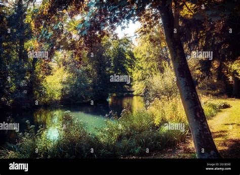 Spring Landscape With Forest And Pond In The Kaisergarten In Oberhausen