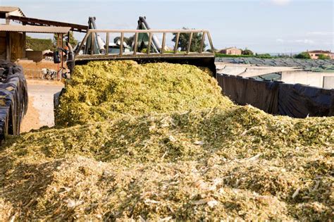 Harvesting Of Silage Stock Image Image Of Green Grass 326847257