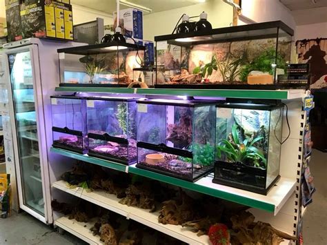 About Us Exotic Pet Shop In Winlaton Exotic World