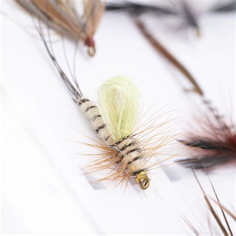 Caledonia Mayfly Trout Selection Guide Flyfishing Fly Fishing Rods