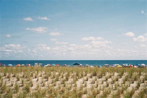 Every Restaurant and Bar in Long Beach Island (2024) — LBI EATS