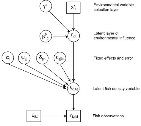 Directed Acyclic Graph Of The Hierarchical Model Relating The Observed Download Scientific