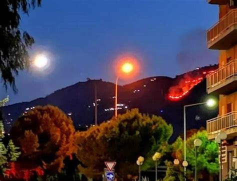 Incendio Tra Palermo E Monreale Distrutti Diversi Ettari Diretta Sicilia