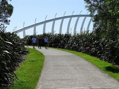 over the hill: Te Rewa Rewa Bridge