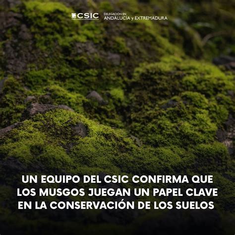 CSIC Andalucía y Extremadura on Twitter Un equipo del csic confirma