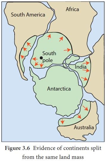 Continental Drift Theory Geography