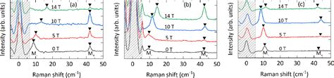 Figure From Magnon Gap Excitations And Spin Entangled Optical