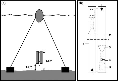 Figure 2 From Benthic Pelagic Coupling In The Population Dynamics Of