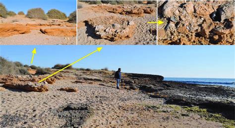 The Sedimentary Architecture And Characteristics Of The Marine Unit U