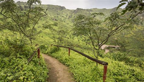 Lomas De Lachay Motivos Para Conocer La Reserva Vamos El