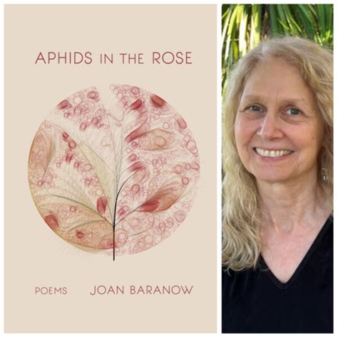 Aphids In The Rose By Joan Baranow Finishing Line Press