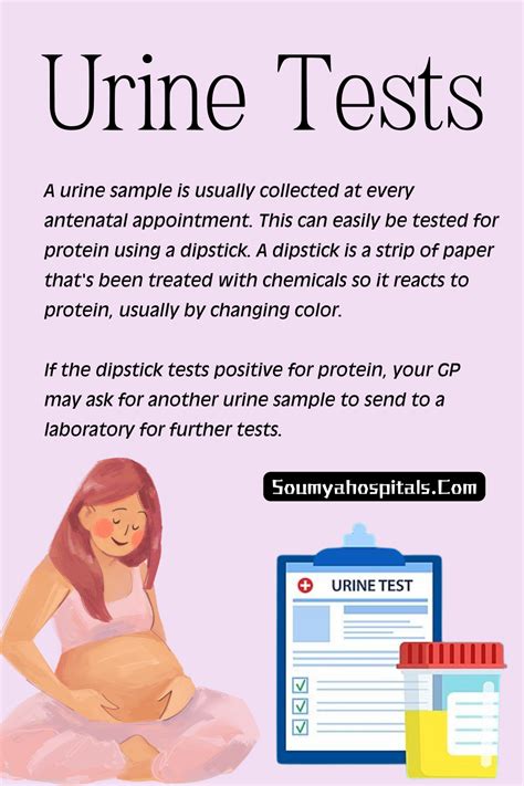 Urine Test For Preeclampsia Signs Causes Risks Diagnosis And