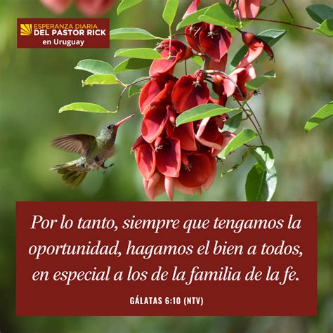 Cuida Tu Familia Espiritual Pastor Rick S Daily Hope