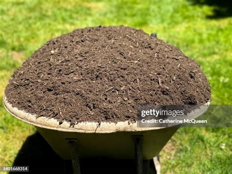 Mulch Wheelbarrow Photos And Premium High Res Pictures Getty Images