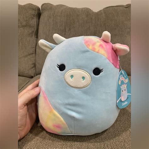 Squishmallows Toys Nwt Squishmallows Caedia The Cow Poshmark