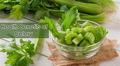 11 Powerful Health Benefits Of Celery And Nutrition Facts In 2021