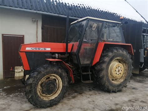 Zdjęcie traktor Ursus 1014 822640 Galeria rolnicza agrofoto