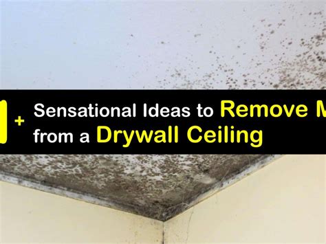 Mold In Bathroom Ceiling Dangerous Shelly Lighting