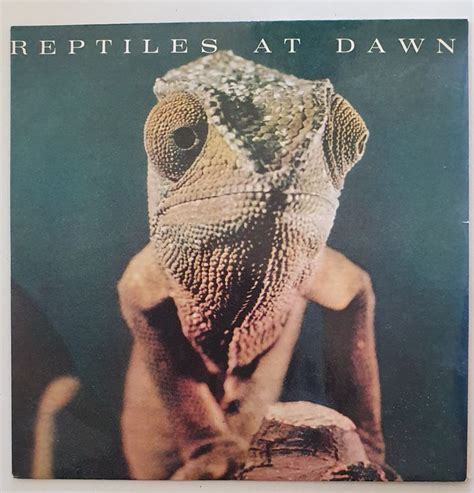 Reptiles At Dawn Zenith Borderline Ring T Kaufen Auf Ricardo