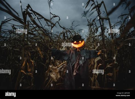 Scary Scarecrow Wallpaper