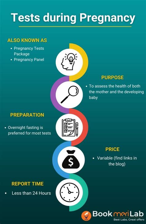 Tests During Pregnancy Trimester Wise Complete Guide [2024]