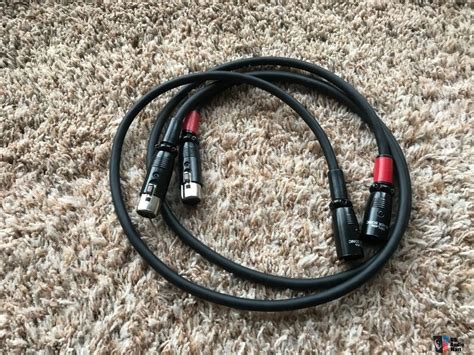 Mogami 3173 Cable With DH Labs Silver Sonic XLR Photo 4369122 US