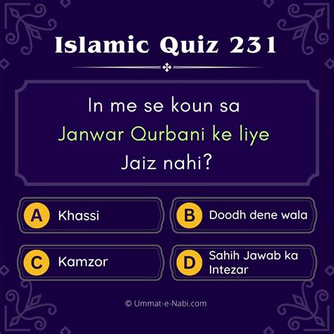 Archive Of Stories Published By Islamic Quiz Medium