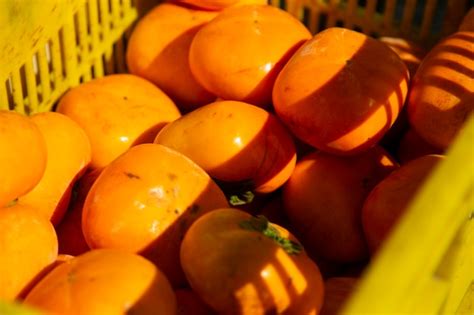 Premium Photo The Japanese Persimmon Treen Persimmon Diospyros Kaki