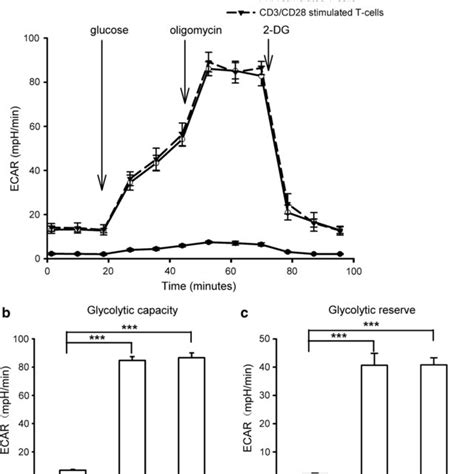 The Number Of Pbmcs Before And After Stimulation With Different