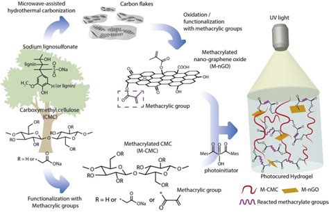 Schematic Illustration Showing The Preparation Steps For The Hydrogel