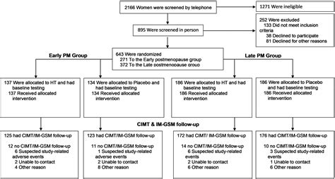 Effect Of Menopausal Hormone Therapy On Arterial Wall Echomorphology