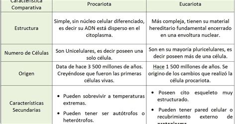 Biologia Celular Cuadro Comparativo Entre Celulas Procariotas Y