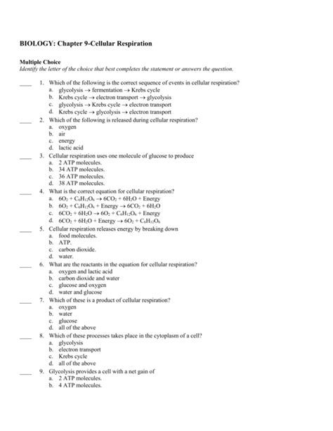 Biology Chapter Cellular Respiration