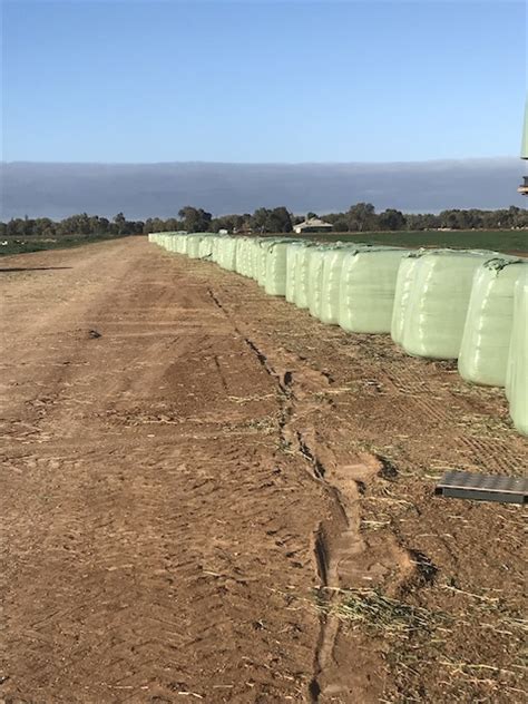 Oat silage | Hay & Fodder - Silage For Sale