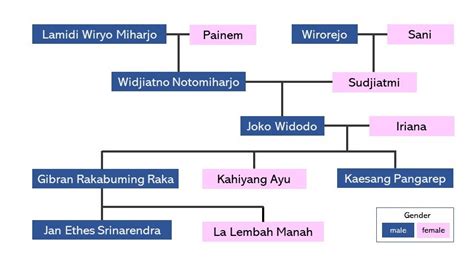 Contoh Struktur Keluarga