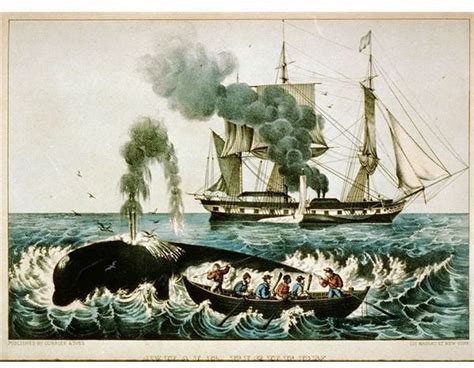 18th And 19th Century Whaling Industry Around The Globe Part Of A Series