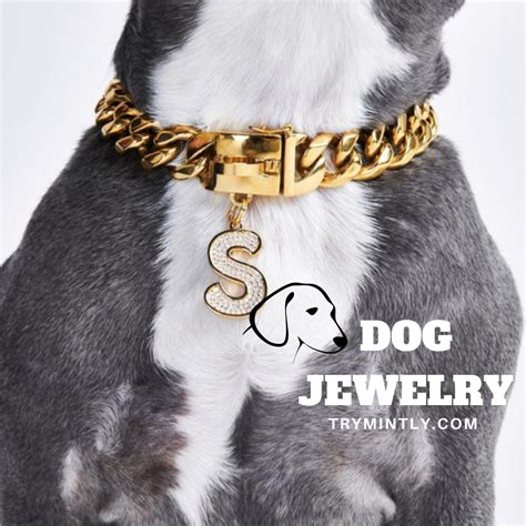 The Ultimate Guide to Jewelry for Dogs - Mintly