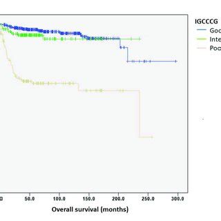 Kaplan Meier Curves Of Overall Survival Os According To The Igcccg